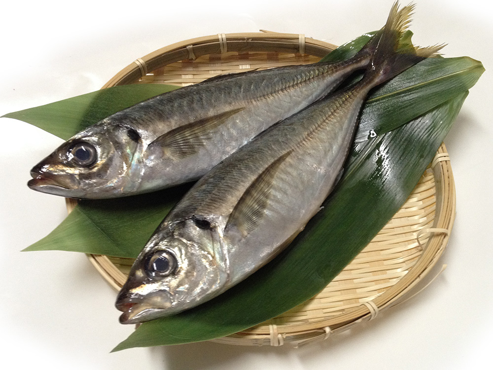 Aji – Horse mackerel Image